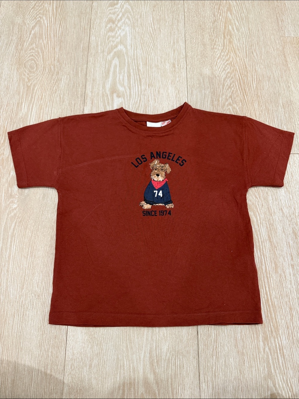 Zara Kids' Los Angeles Graphic Dog Tee in Rust